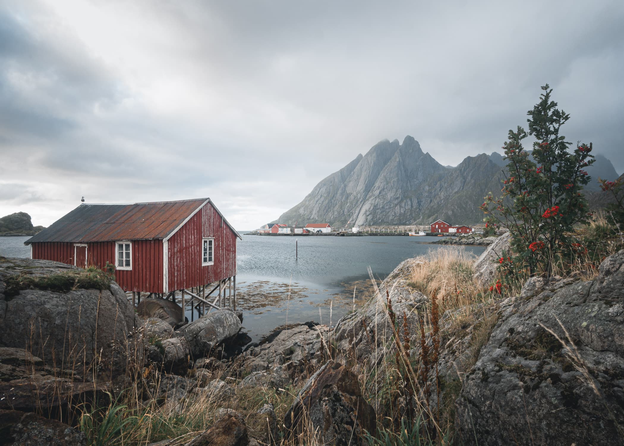 Reine Lofoten Islands Norway — Javier Delabat